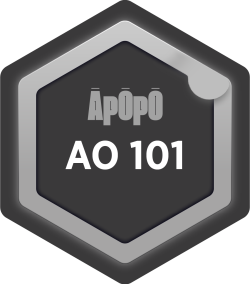 AO 101