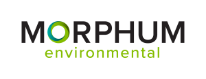 MORPHUM_Logo_Colour_Pos